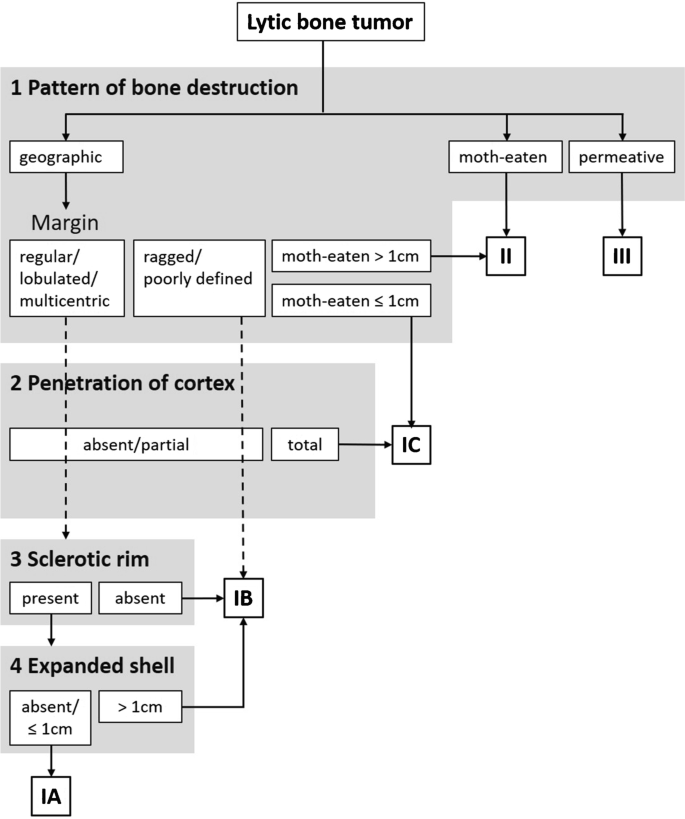 knochenveränderungen_osteolyse_lodwick-1